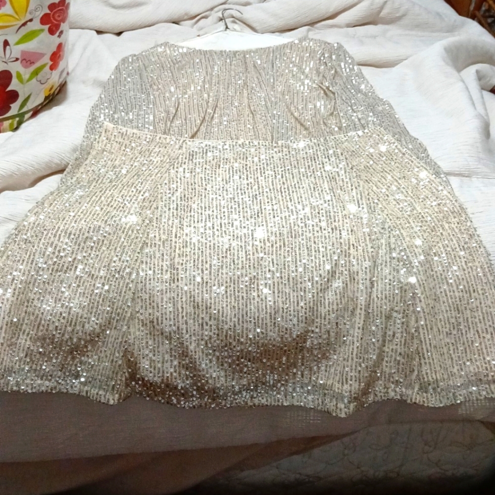 Sparkling Silver Sequin Dress